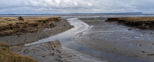 2023 Green Crab Status Summary: Part 2 (Coast)